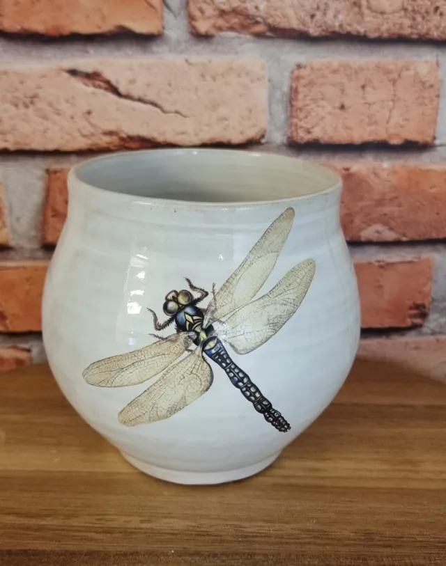 Vase med øyenstikkere 